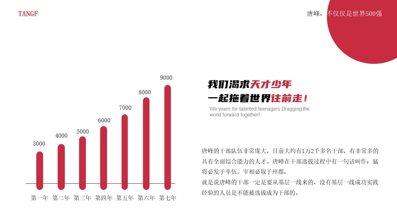 7-公司介绍 (4).pptx
